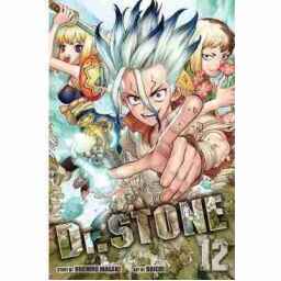 Dr. STONE, Vol. 12 (Paperback)