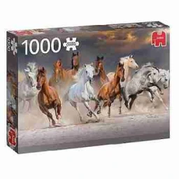 Puslespill - Desert Horses - 1000 brikker