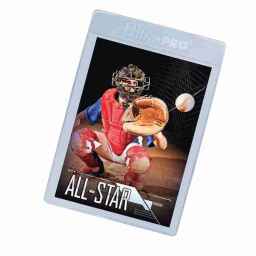 25 stk - Ultra Pro - Semi-Rigid Card Holders 2 1/2" x 3 1/2"