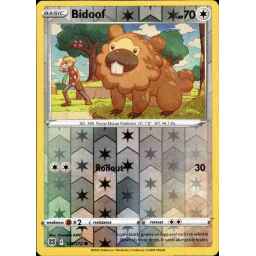 Brilliant Stars - 120/172 - Bidoof - Reverse Holo