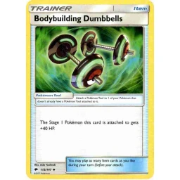 Burning Shadows - 113/147 - Bodybuilding Dumbbells