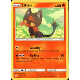 Unbroken Bonds - 027/214 - Litten