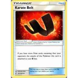 Unified Minds - 201/236 - Karate Belt