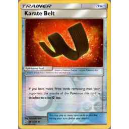 Unified Minds - 201/236 - Karate Belt - Reverse Holo