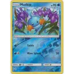 Celestial Storm - 033/168 - Mudkip - Reverse Holo