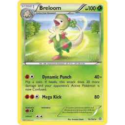 Primal Clash - 016/160 - Breloom - Rare