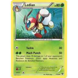 XY - 007/146 - Ledian
