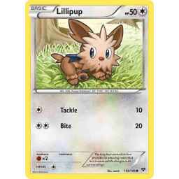 XY - 108/146 - Lillipup