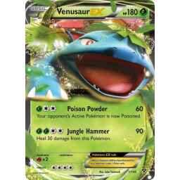 XY - 001/146 - Venusaur EX