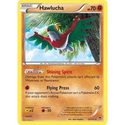 Furious Fists - 063/111 - Hawlucha - Holo Rare