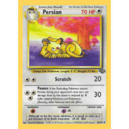Jungle - 42/64 - Persian