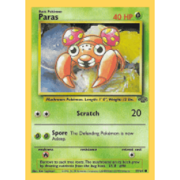Jungle - 59/64 - Paras