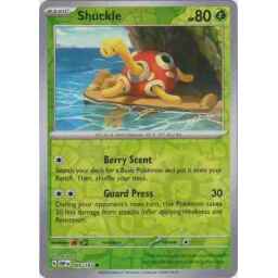 Obsidian Flames - 005/197 - Shuckle - Reverse Holo