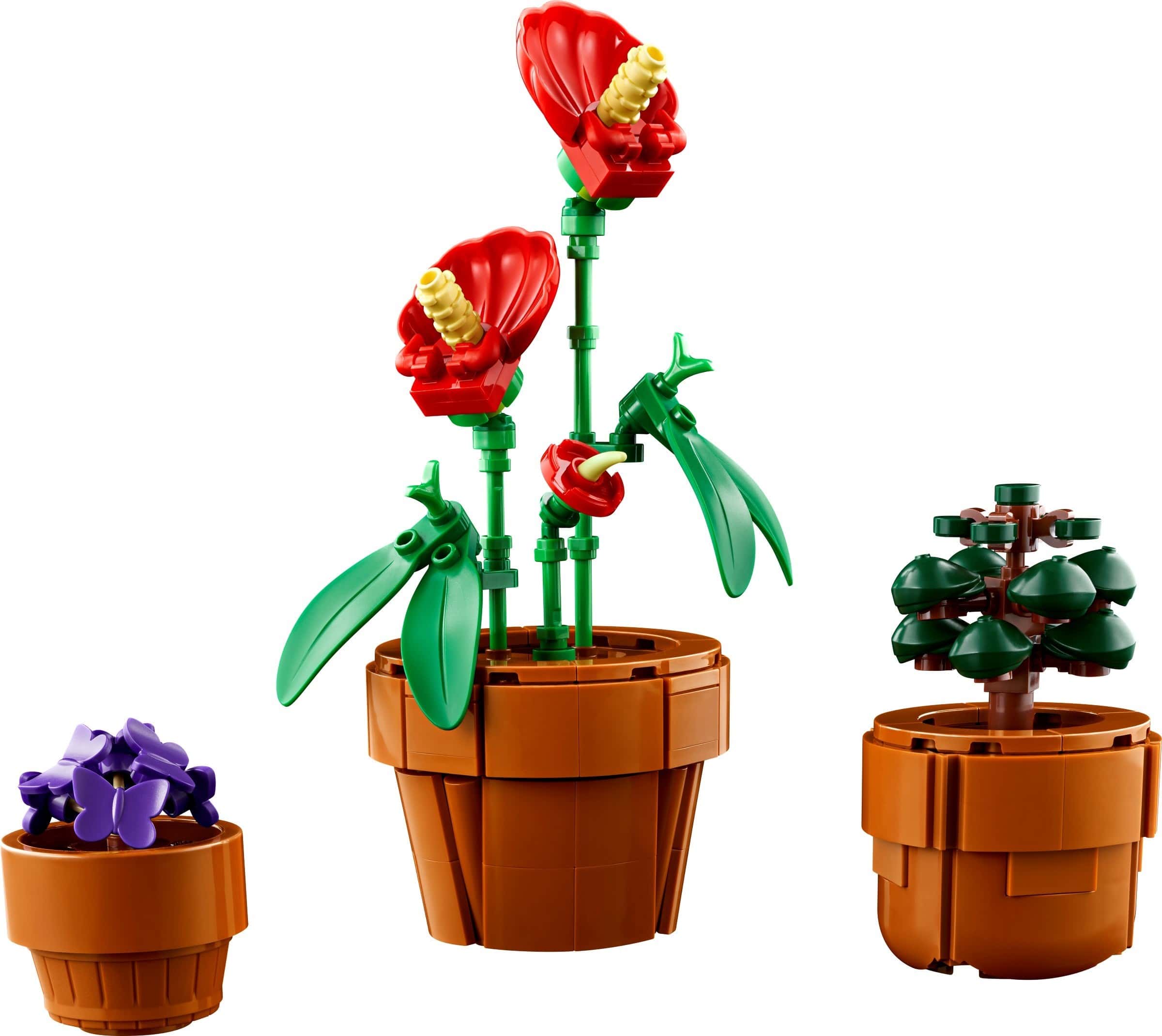 LEGO Icons 10329 Miniatyrplanter - Bilde 4
