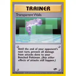 Gym Challenge - 125/132 - Transparent Walls