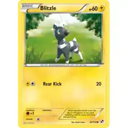 Black & White - 040/114 - Blitzle