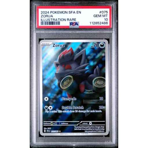 PSA 10 Gem Mint - 2024 Pokemon Shrouded Fable Zorua Illustration Rare #75
