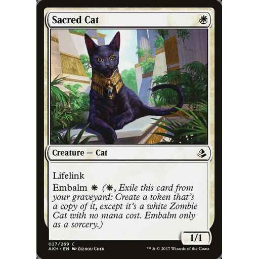 Amonkhet - 27 - Sacred Cat - Common - W - Non-foil