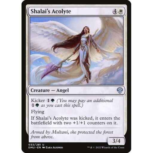Dominaria United - 33 - Shalai's Acolyte - Uncommon - W - Non-foil