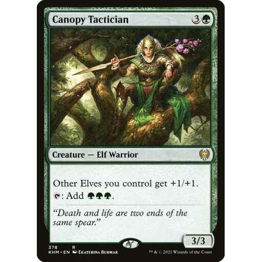 Kaldheim - 378 - Canopy Tactician - Rare - G - Non-foil