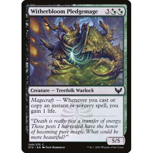 Strixhaven: School of Mages - 249 - Witherbloom Pledgemage - Common - BG - Non-foil
