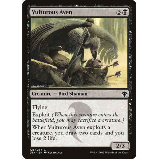 Dragons of Tarkir - 126 - Vulturous Aven - Common - B - Non-foil