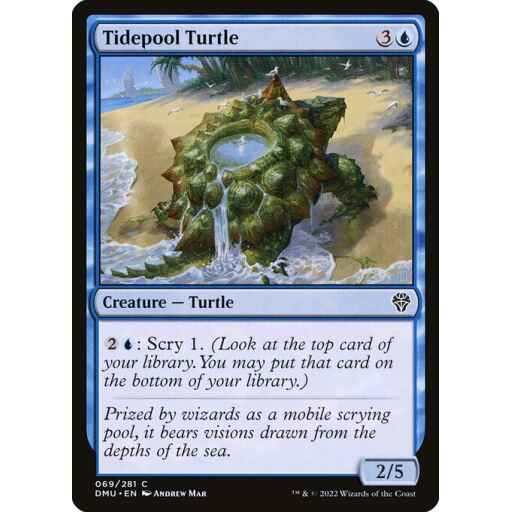 Dominaria United - 69 - Tidepool Turtle - Common - U - Non-foil
