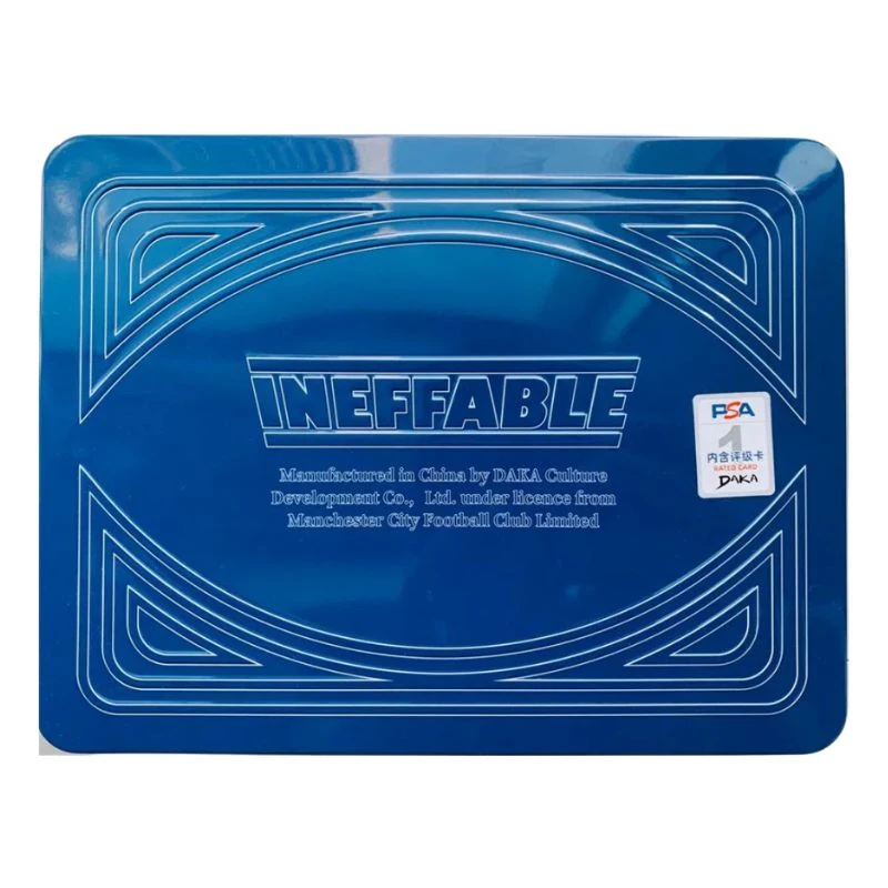 DAKA Manchester City Ineffable 2021/22